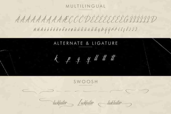 Lackluster Font Calligraphy - Image 9
