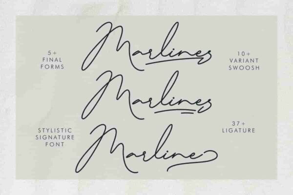 Marlines Signature Font - Image 4