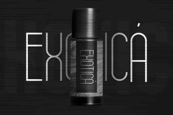Belithel Sans Serif Font - Image 8