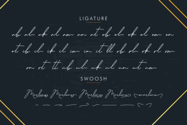 Marlines Signature Font - Image 3