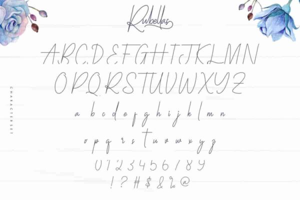 Rubellas script Font - Image 5