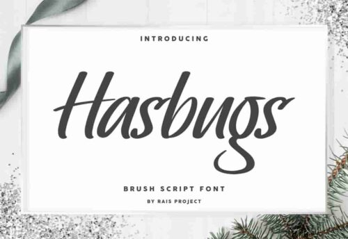 Hasbugs Font