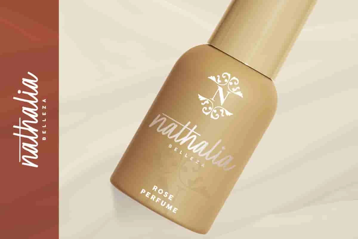 Brightwise Signature Font - Image 6