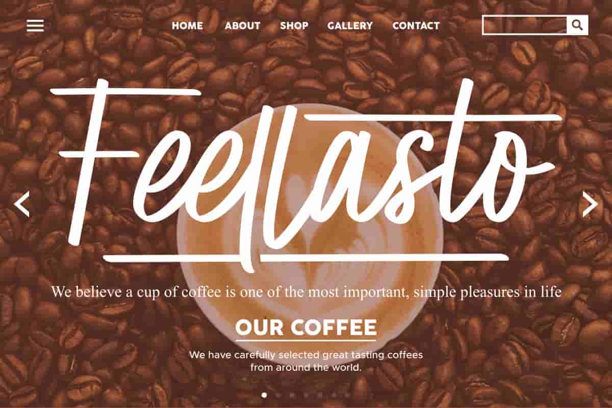 Brightwise Signature Font - Image 8