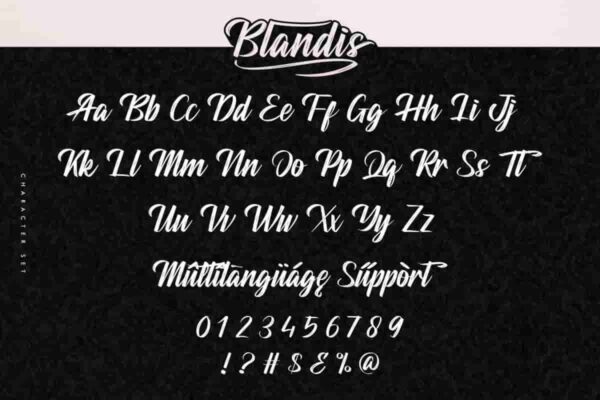 Blandis Brush Textured Script Font - Image 3