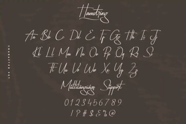 Hamstring signature Font - Image 4