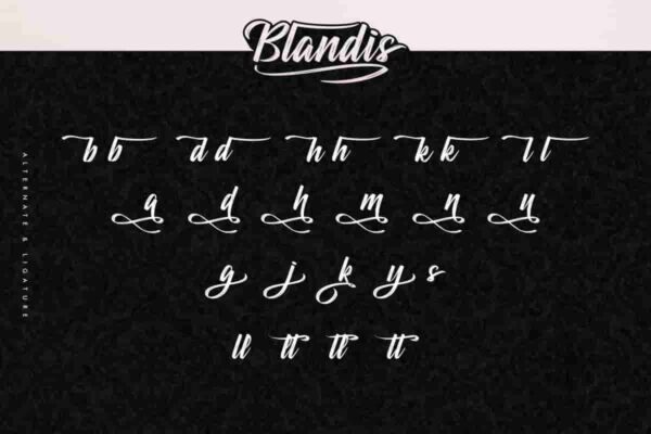 Blandis Brush Textured Script Font - Image 4