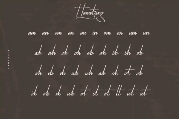 Hamstring signature Font - Image 6