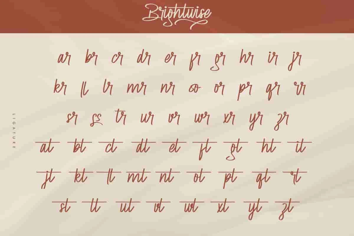 Brightwise Signature Font - Image 5
