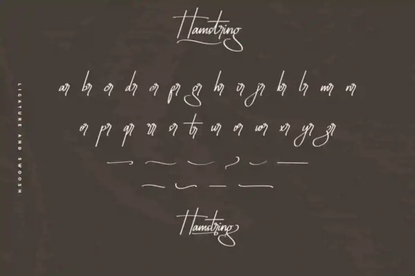 Hamstring signature Font - Image 8