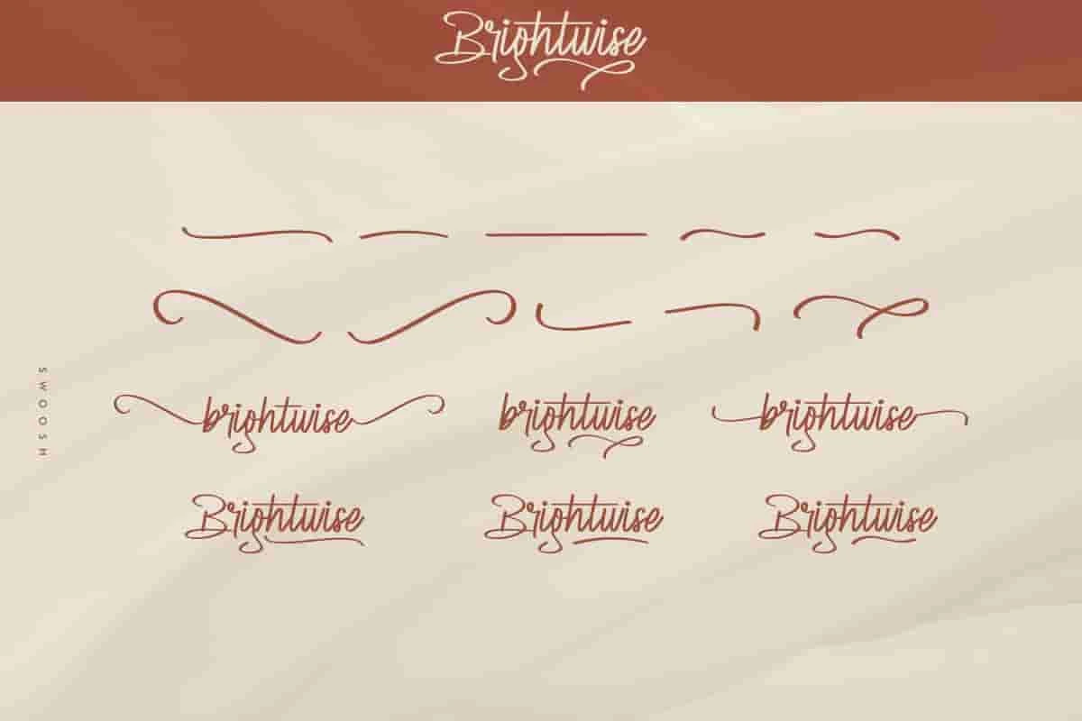 Brightwise Signature Font - Image 3