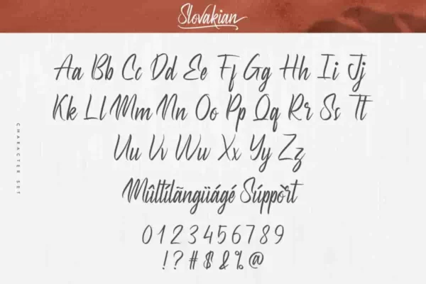 Slovakian Calligraphy Font - Image 3