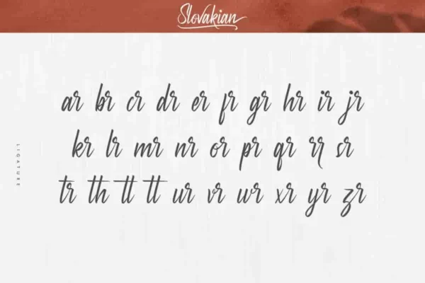 Slovakian Calligraphy Font - Image 4