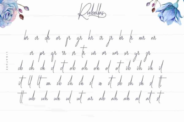 Rubellas script Font - Image 7