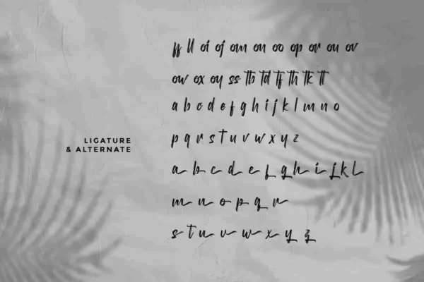 Diswatika Brush Font - Image 2