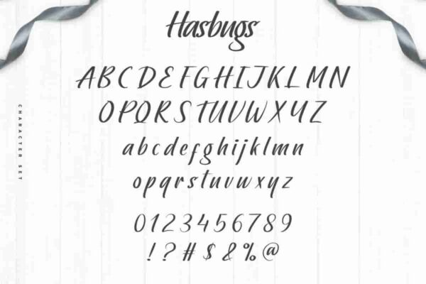 Hasbugs brush Font - Image 2
