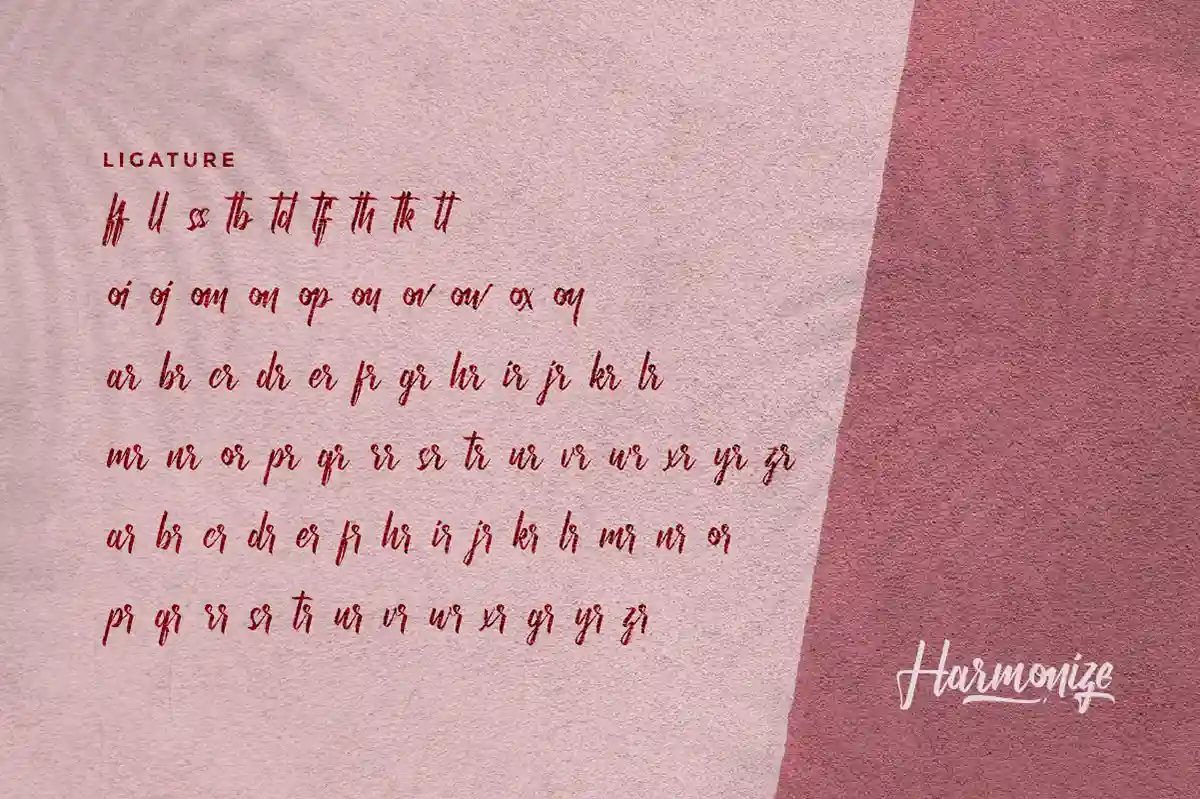 Harmonize calligraphy Font - Image 6