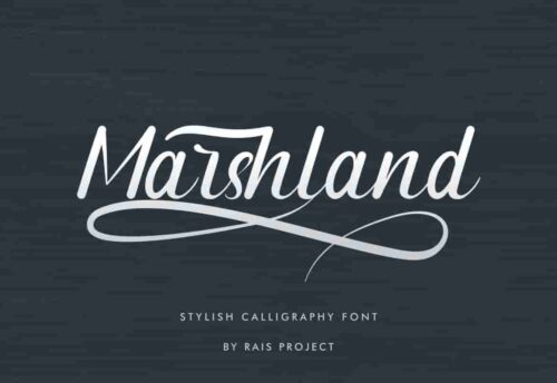 Marshland calligraphy Font