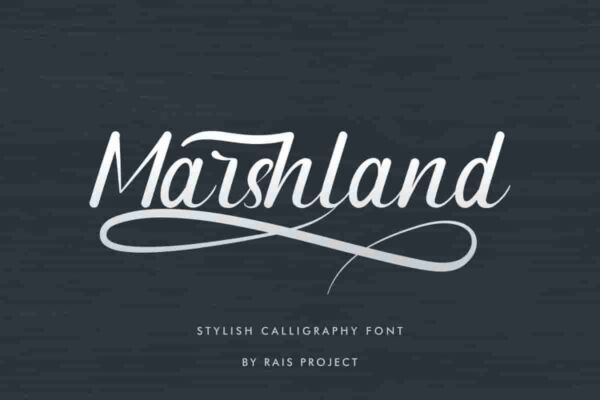 Marshland calligraphy Font