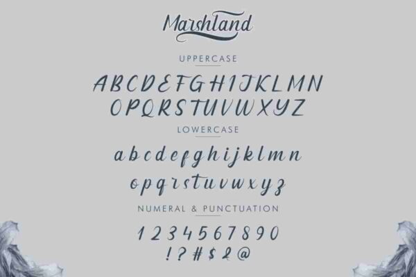 Marshland calligraphy Font - Image 3