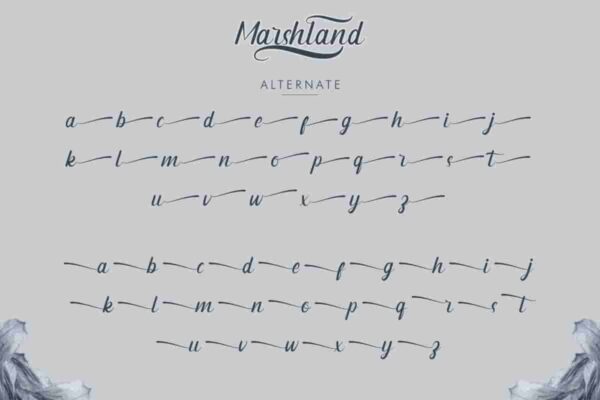 Marshland calligraphy Font - Image 5