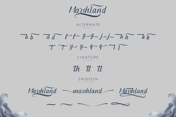 Marshland calligraphy Font - Image 7