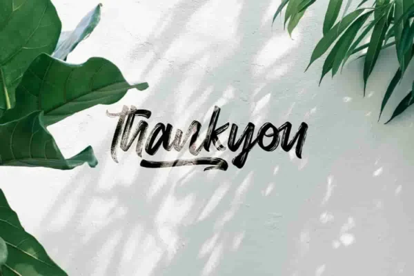 Randelles Brush Font - Image 4