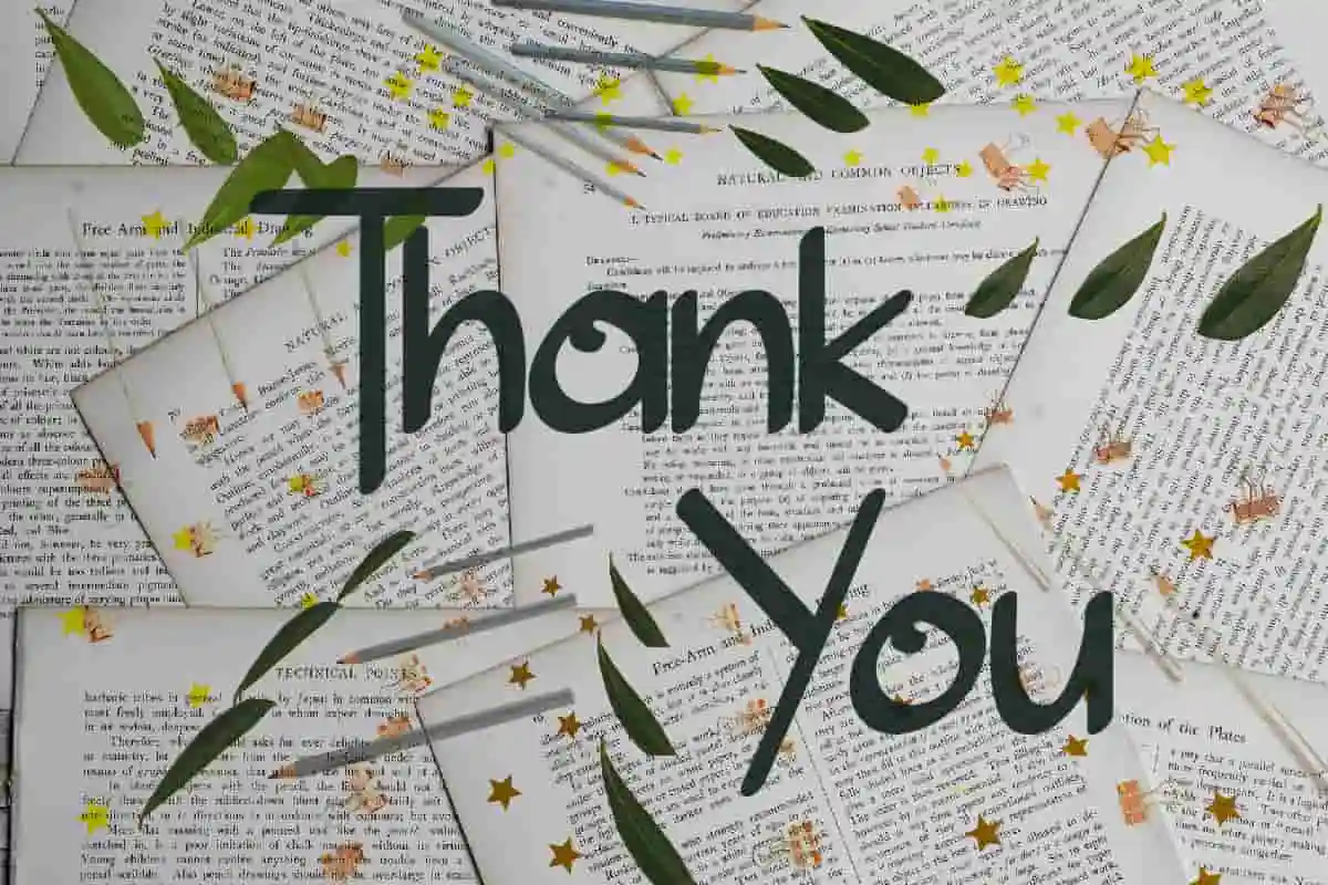 Evolutes Brush Font - Image 8