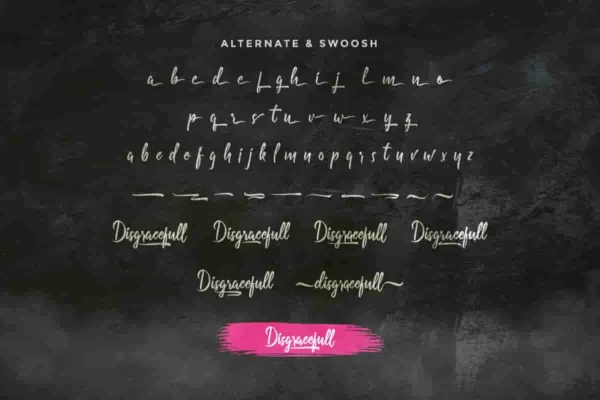 Disgracefull Brush Font - Image 2