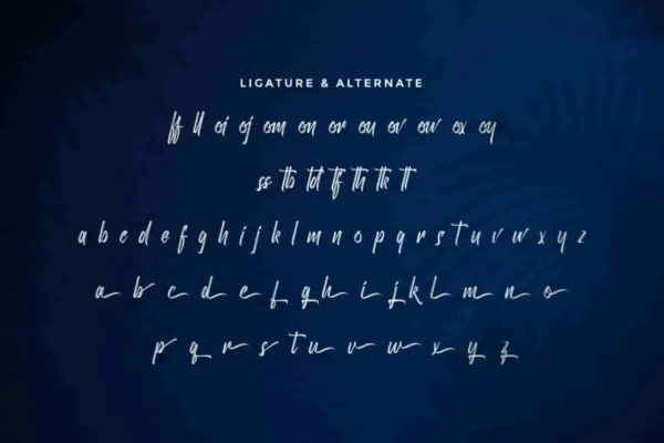 Hardassies Brush Font - Image 3