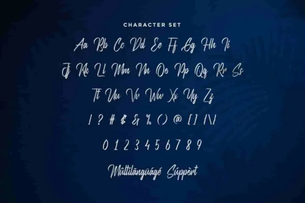 Hardassies Brush Font - Image 5