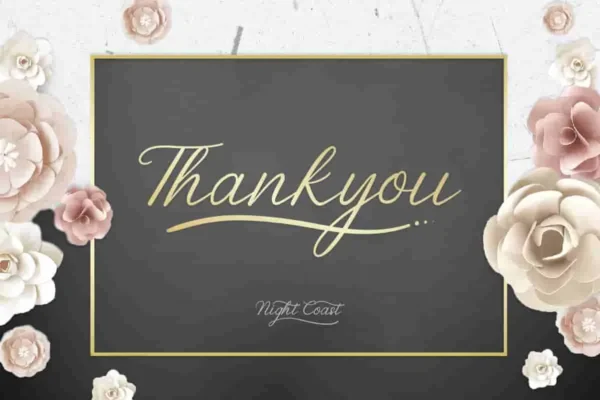 Nightcoast calligraphy Font - Image 8