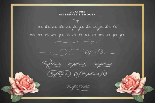 Nightcoast calligraphy Font - Image 3