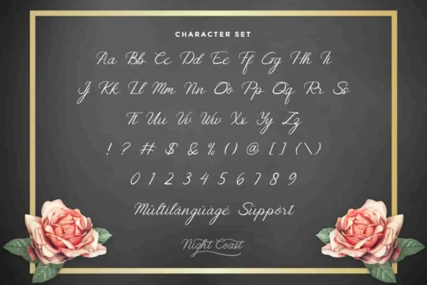 Nightcoast calligraphy Font - Image 6