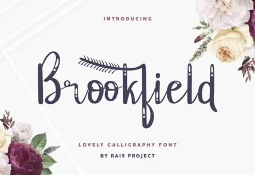 Brookfield Calligraphy Font
