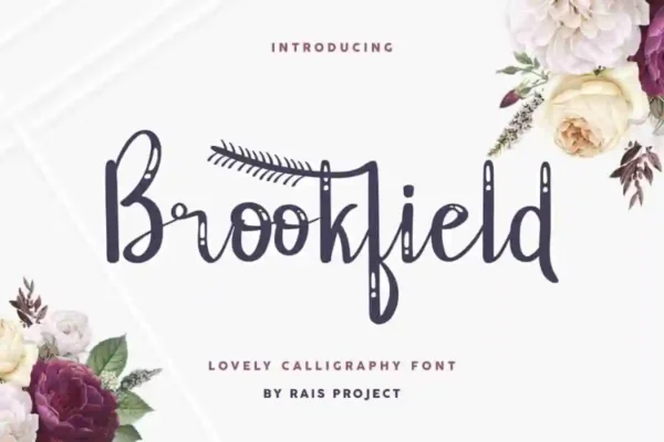 Brookfield Calligraphy Font