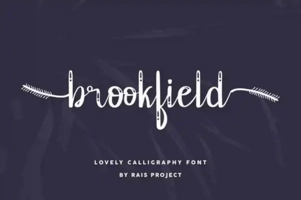 Brookfield Calligraphy Font - Image 10