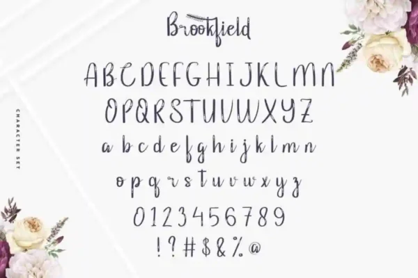 Brookfield Calligraphy Font - Image 9