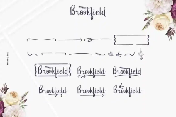 Brookfield Calligraphy Font - Image 5