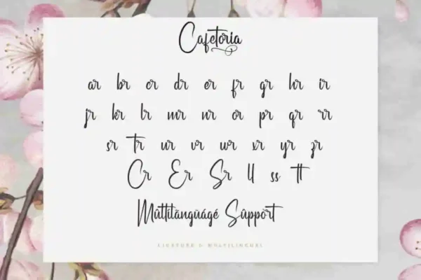 Cafetoria calligraphy Font - Image 6