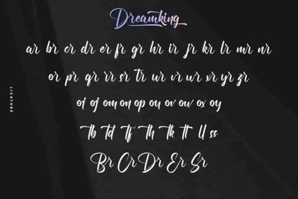 Dreamking Calligraphy Font - Image 7