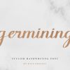 Germining Calligraphy Font - Image 12