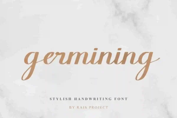 Germining Calligraphy Font - Image 11