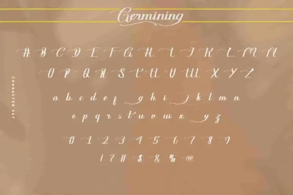 Germining Calligraphy Font - Image 7