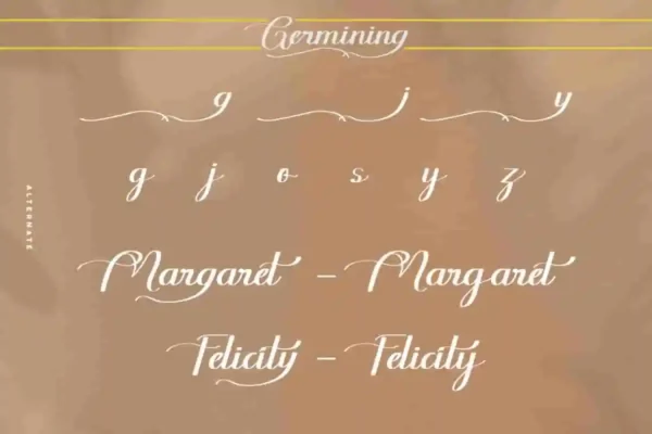 Germining Calligraphy Font - Image 9