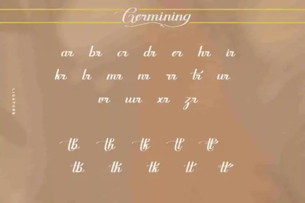 Germining Calligraphy Font - Image 5