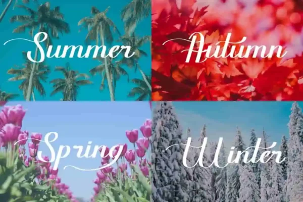 Germining Calligraphy Font - Image 3