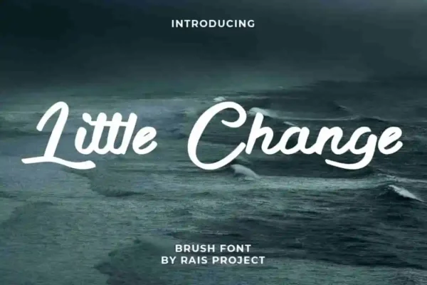Little Change Brush Font - Image 17