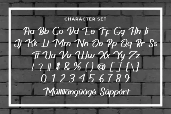 Rain Guard handwriting Font - Image 6