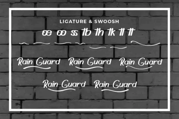 Rain Guard handwriting Font - Image 4